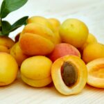 Apricot