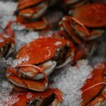 Crab