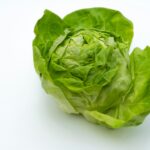 Lettuce