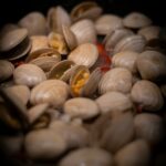 Shellfish